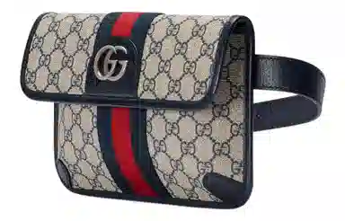 Gucci Ophidia Bag