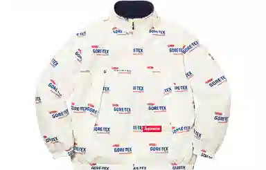 Supreme x Polartec GORE-TEX Reversible Jacket