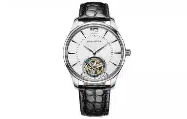 Sea-Gull 818.17.8810