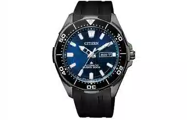 Citizen NY0075-12L