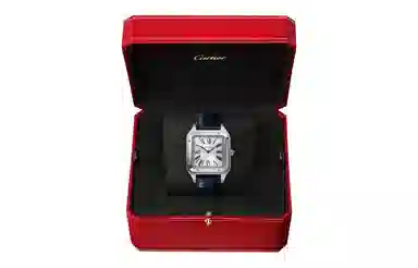 CARTIER 30 46.6mm 46.6*33.9mm WSSA0032