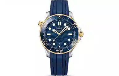 OMEGA 42mm 210.22.42.20.03.001