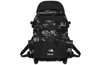 Supreme x The North Face Steep Tech Backpack