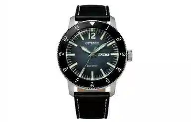 CITIZEN 100 AW0077-19LB
