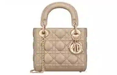 DIOR Lady Dior
