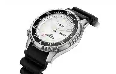 Citizen Promaster NY0118-11A