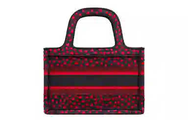 DIOR BookTote Tote