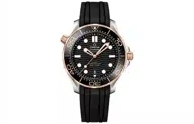 Omega Seamaster 210.22.42.20.01.002