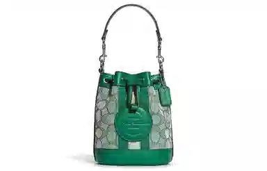 COACH Dempsey Mini 14 C