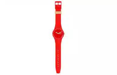 SWATCH 41mm SUOZ718
