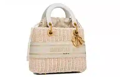 DIOR Lady Dior