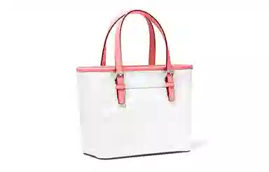 Michael Kors Jet Set Mini Tote