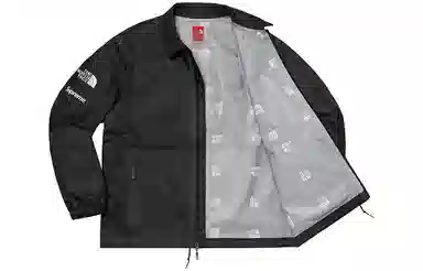 Supreme x THE NORTH FACE TNF Logo