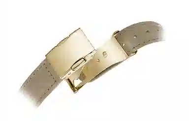 CITIZEN xc 50 33mm EO1203-03A