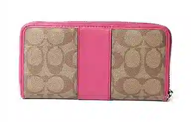 COACH Accordion 20