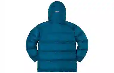 Supreme Gore-Tex Down Parka