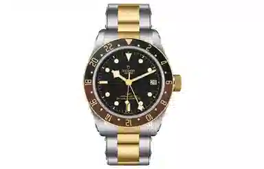 Tudor Black Bay M79833MN-0001