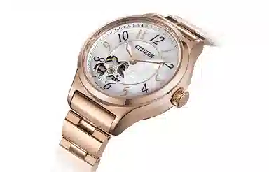 CITIZEN 34mm PC1007-65D