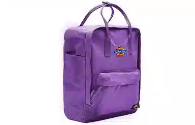 Dickies Backpack