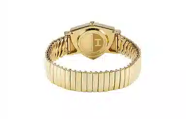 Hamilton Ventura H24301111