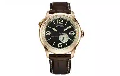 Citizen NJ0143-19E