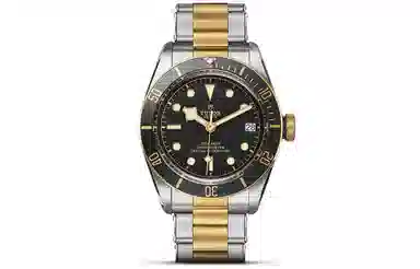 TUDOR 41mm M79733N-0008