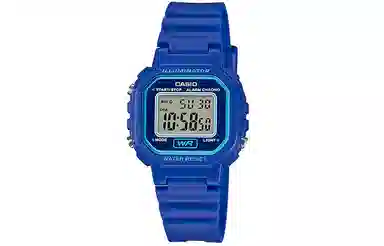 CASIO YOUTHSTANDARD LA-20WH-2A