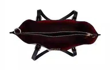 COACH Mollie 25 Tote