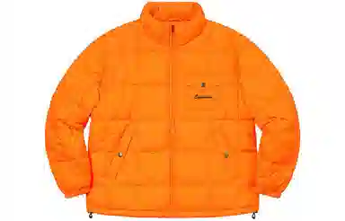 Supreme SS21 Week 2 Iggy Pop Puffy Jacket