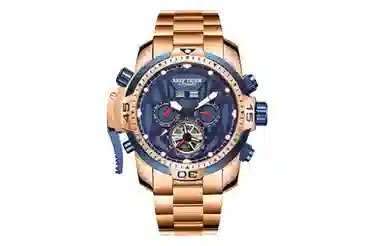 REEF TIGER Aurora Transformers RGA3532-GMLR