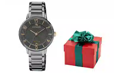 CITIZEN 31mm EM0528-82H