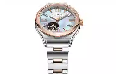 CITIZEN 34mm PC1009-51D