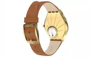 SWATCH SKIN 30 38*45.6mm SYXG104