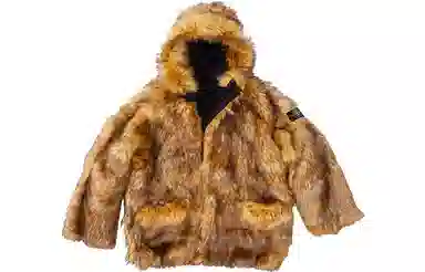 Supreme x Stone Island Formula Steel Reversible Parka