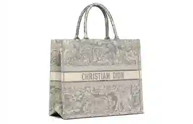 DIOR BookTote Tote