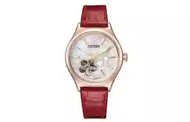 CITIZEN 34mm PC1018-69D