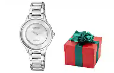 CITIZEN 50 30.4mm EM0380-57D