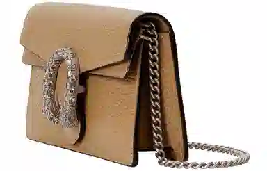 Gucci Dionysus Mini