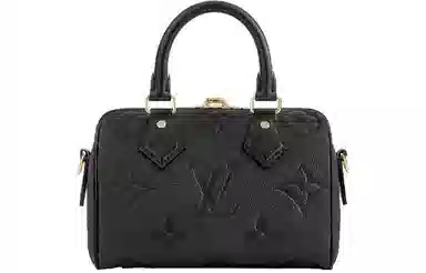 LOUIS VUITTON Speedy 20