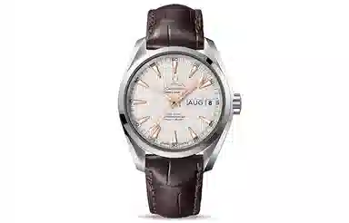 OMEGAAQUA TERRA 150 231.13.39.22.02.001