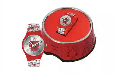 SWATCH 41mm SO29Z109