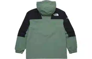 The North Face Logo Half-Zip Hoodie Avocado Green