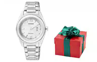 CITIZEN 31*9mm FE1050-52A