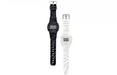 CASIO G-SHOCK BABY-G SLV-19B-1PFZB