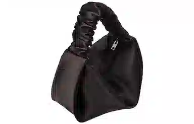 alexander wang scrunchie