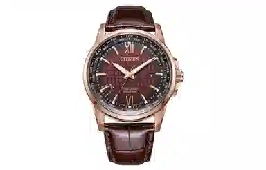 CITIZEN BX1009-10X