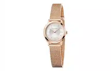 CKCalvin Klein CK 24mm 30 K3M23626
