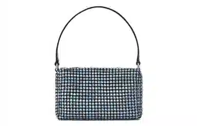 alexander wang heiress