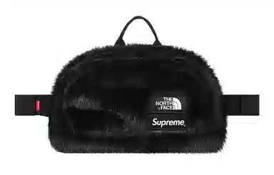 Supreme x The North Face FW20 Sling Bag
