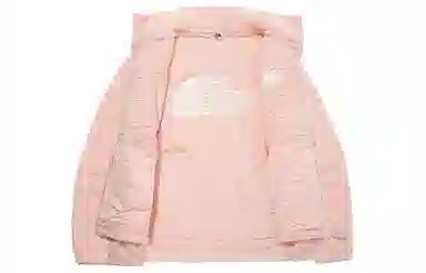 THE NORTH FACE Compy Logo